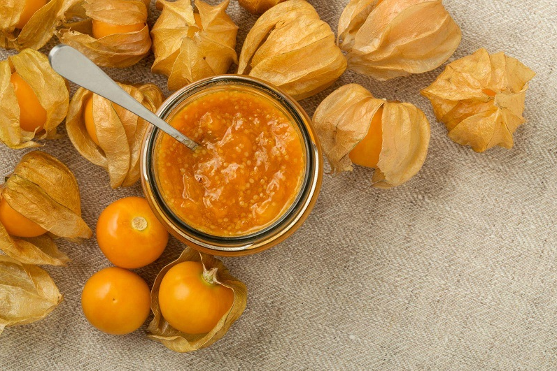 Cây tầm bóp có tác dụng gì? Những bài thuốc tốt cho sức khỏe con người Cây tầm bóp có tác dụng gì? Những bài thuốc tốt cho sức khỏe con người