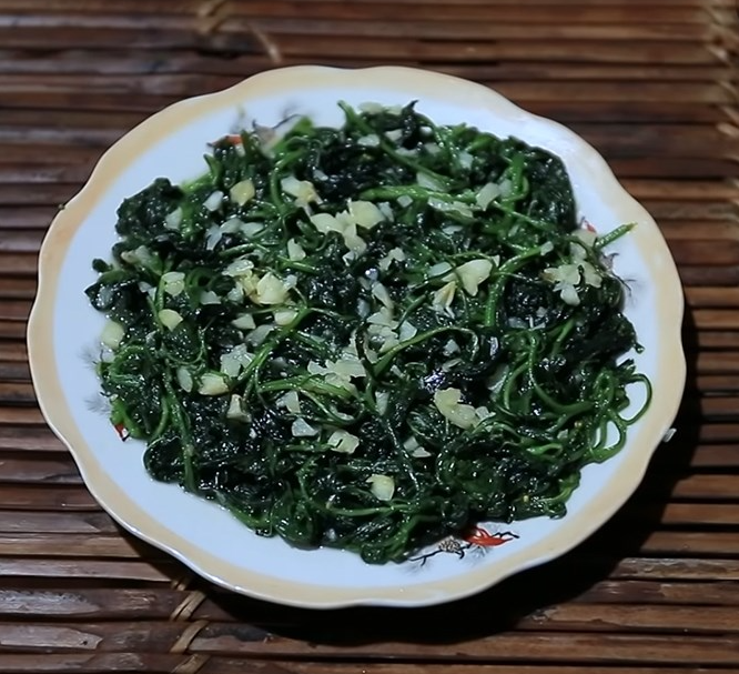 Cây tầm bóp và những bài thuốc tốt cho sức khỏe con người Cây tầm bóp và những bài thuốc tốt cho sức khỏe con người