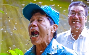 Người nuôi ong thuê với biệt tài bốc ong cho vào miệng không sợ đốt