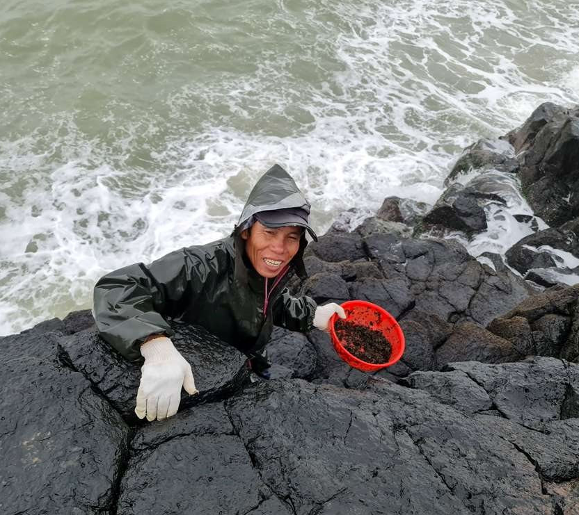 Loại đặc sản mọc lên từ đá, người dân đi lấy về bán giá hàng triệu đồng/kg