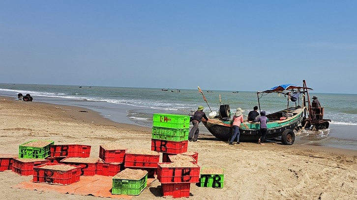 Ngư dân Hà Tĩnh trúng đậm “lộc” biển, thu bạc triệu mỗi đêm