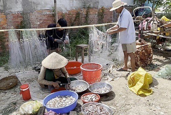 Nhờ nguồn lợi thủy sản mùa lũ, người dân ĐBSCL có nguồn thu nhập để đắp đổi cuộc sống.