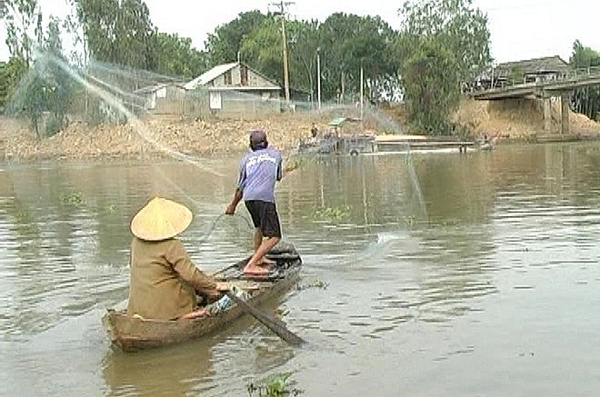 Năm nay mùa lũ lớn nên người dân vùng lũ có thêm nguồn thu nhập.