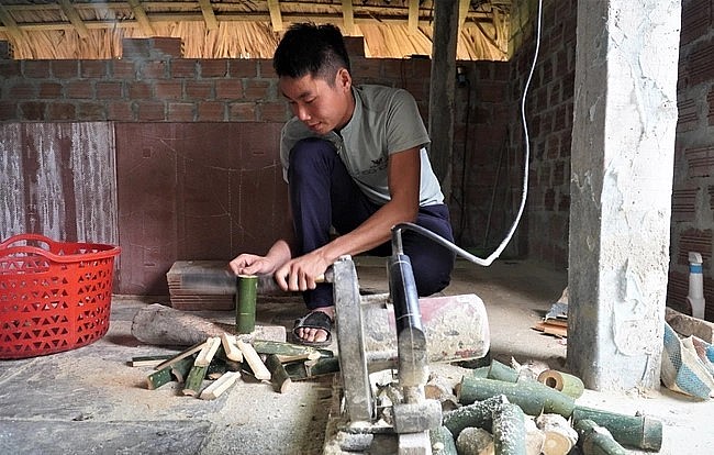 Theo anh Nhâm, thức ăn của dúi có tre, nứa, mía,...