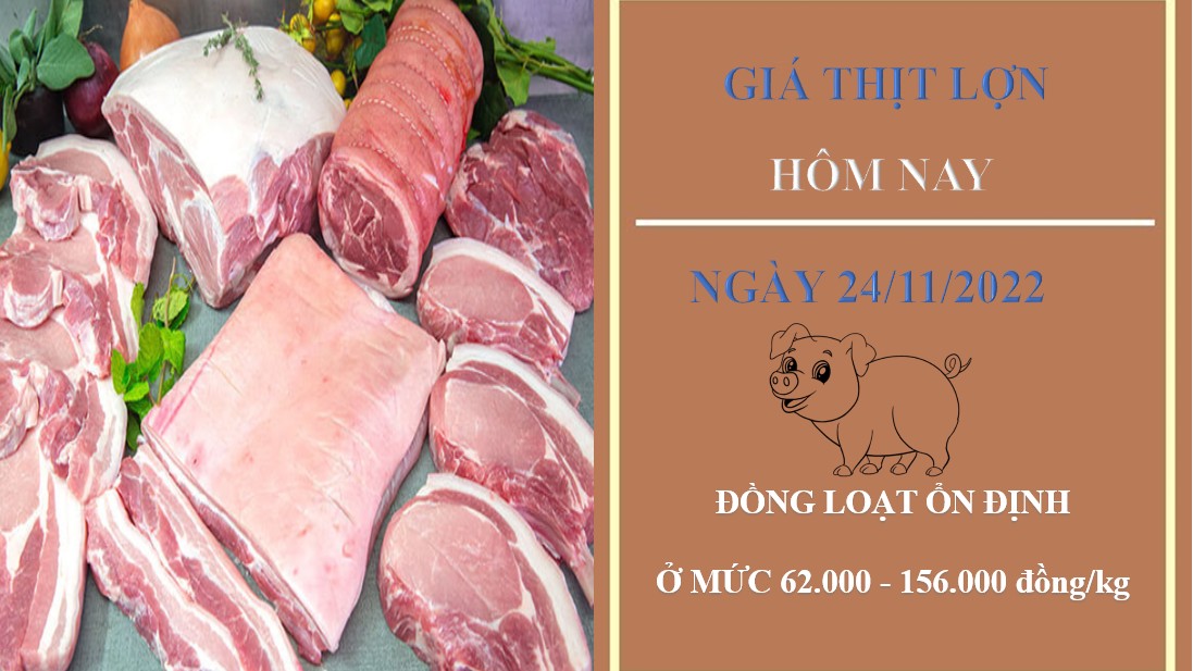 Giá thịt heo hôm nay 24/11/2022: Giữ mức ổn định
