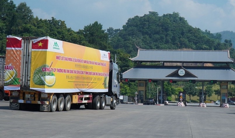 mỗi ngày có hàng trăm tấn sầu riêng xuất khẩu suôn sẻ mỗi ngày có hàng trăm tấn sầu riêng xuất khẩu suôn sẻ