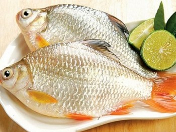 Anh em nhà cá chép, nhìn đã mê, xưa giá rẻ giờ thành đặc sản nhà hàng 180.000 đồng/kg