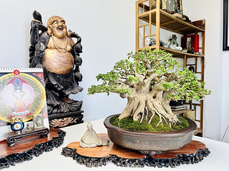 Đến nay, khu vườn của anh có khoảng hơn 100 chậu cây bonsai, có thời điểm lên đến 200 chậu