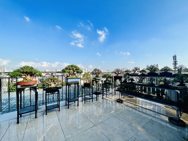 “Sau một thời gian chơi, tôi nhận ra sở hữu một cây bonsai mini, siêu mini đẹp nó không chỉ thỏa mãn đam mê mà còn là một khối tài sản tịnh tiến theo thời gian”, anh cho hay