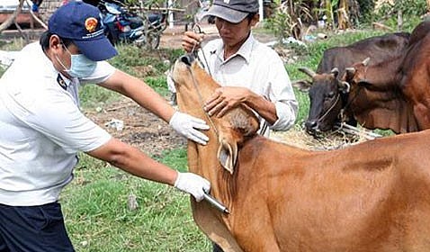 Bộ NN-PTNT chỉ đạo tăng cường công tác phòng, chống dịch bệnh động vật các tháng cuối năm 2022.