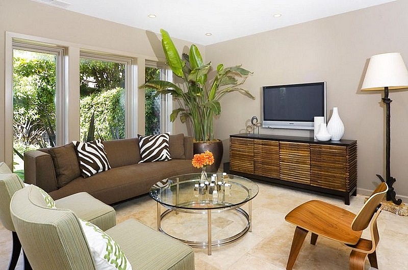 Top cây cảnh để trong phòng khách đẹp, hợp phong thủy, mang lại nhiều may mắn Top cây cảnh để trong phòng khách đẹp, hợp phong thủy, mang lại nhiều may mắn