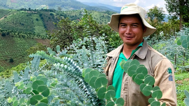 Loài cây lạ nghe tên đã thấy "mùi tiền", trồng 4 tháng nông dân đút túi hàng trăm triệu