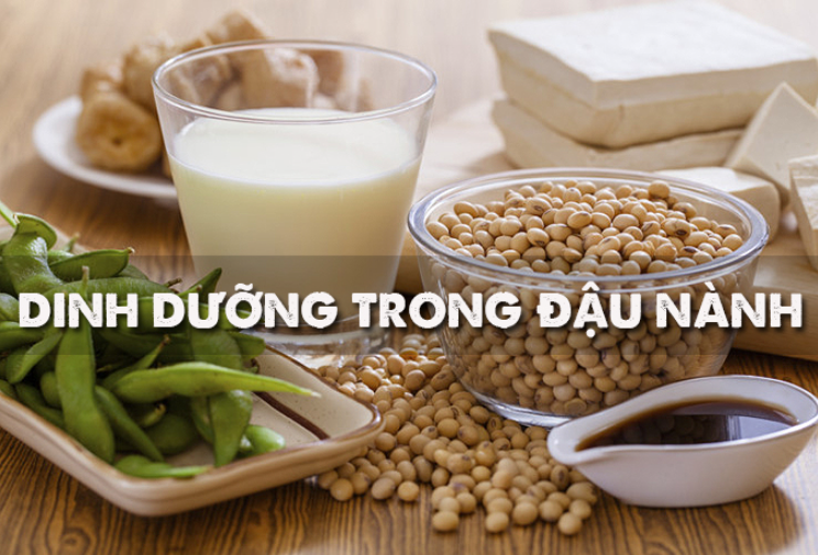 Nam giới uống nhiều sữa đậu nành có bị yếu sinh lý?