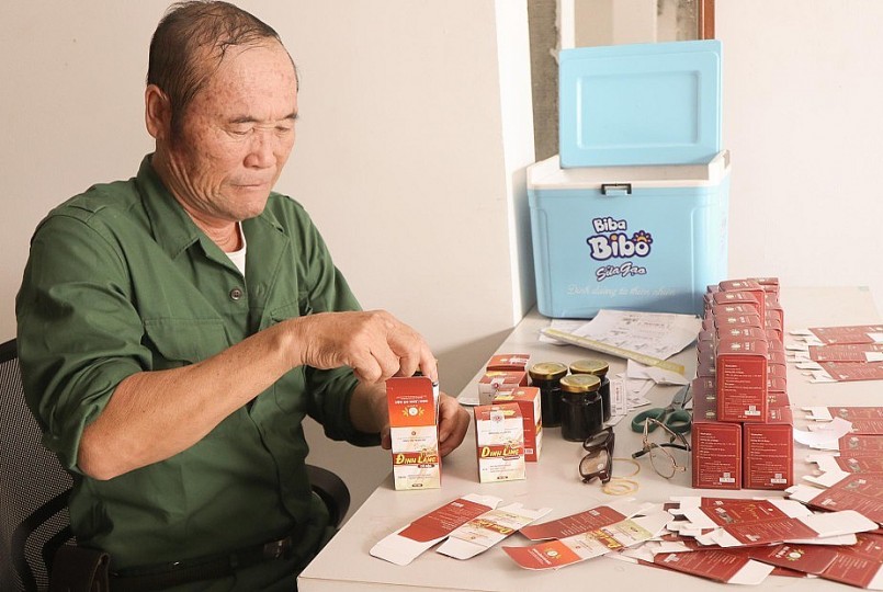 Lá đinh lăng được bào chế thành cao và trà túi lọc.