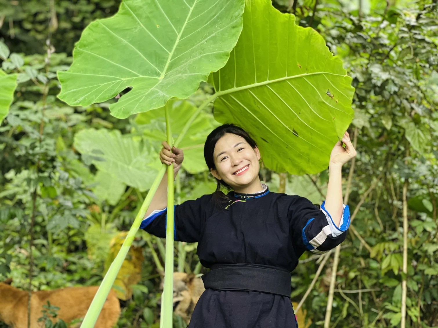 Câu chuyện núi rừng đều được Quỳnh giới thiệu một cách sáng tạo và dí dỏm