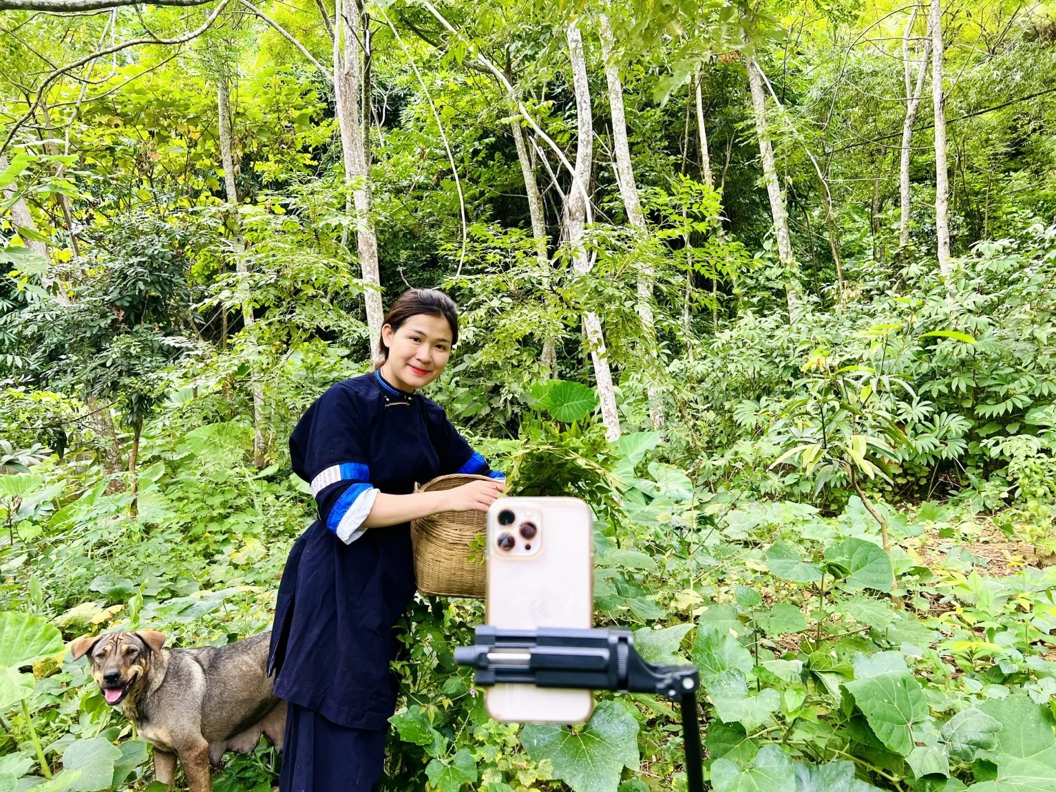 Trong những thước phim mà Nông Cẩm Quỳnh chia sẻ trên TikTok, khung cảnh miền sơn cước hiện ra thật bình yên