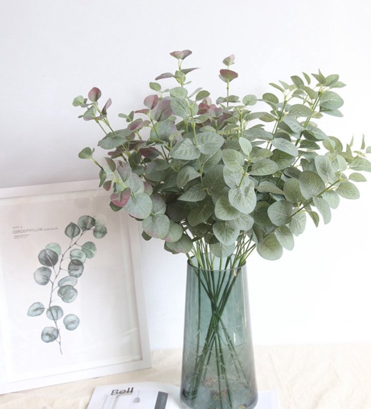 Loài cây lạ nghe tên đã thấy "mùi tiền", trồng 4 tháng nông dân đút túi hàng trăm triệu