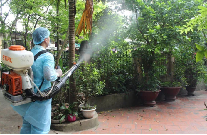 Bộ Y tế đề nghị triển khai ngay chiến dịch diệt lăng quăng/bọ gậy