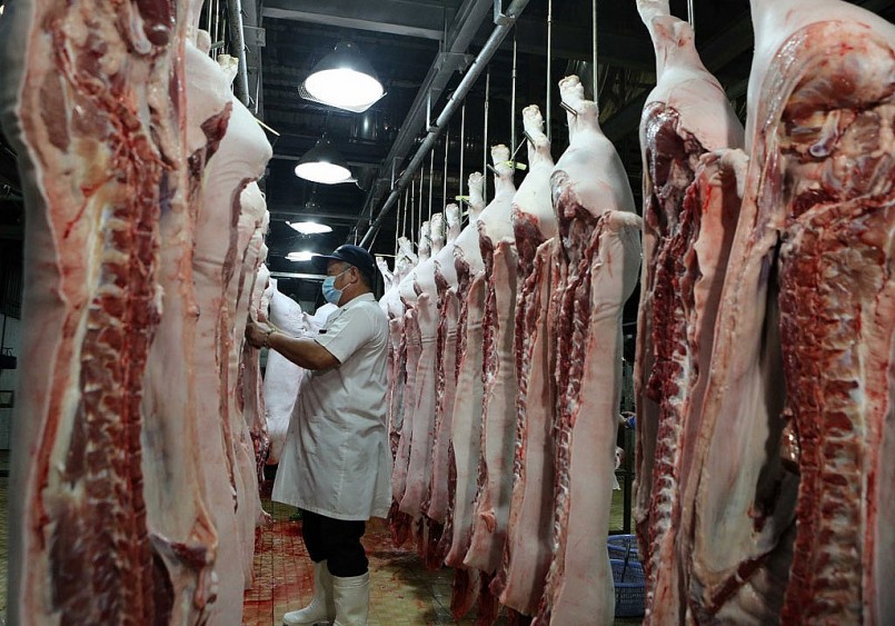 Thị trường thịt heo trong nước đã bão hòa khiến giá heo hơi ổn định.