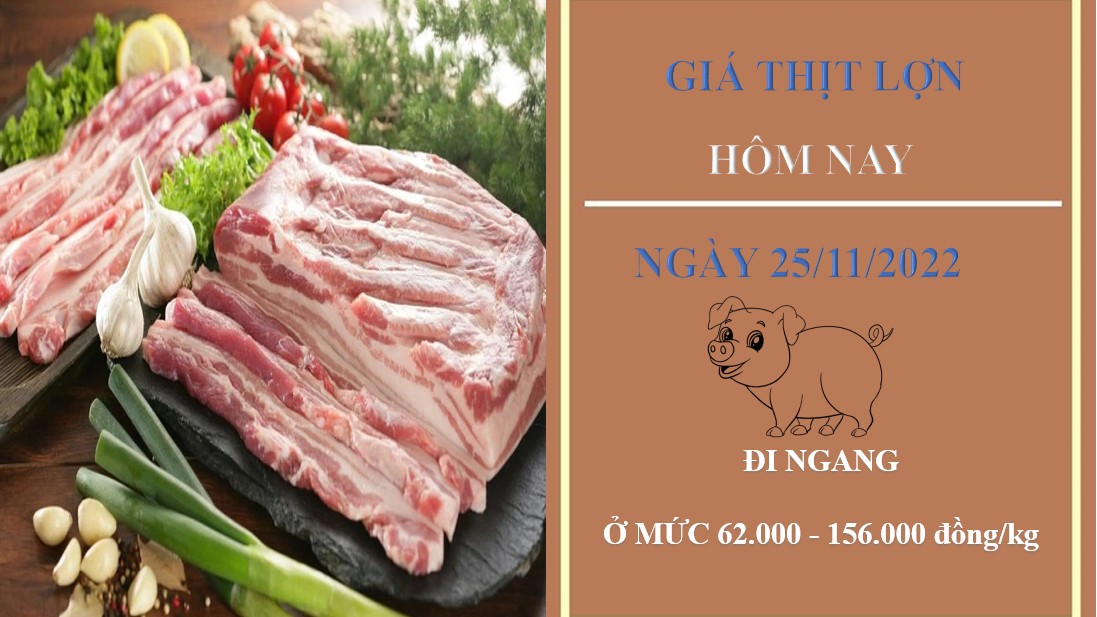 Giá thịt heo hôm nay 25/11/2022: Nối tiếp chuỗi ngày ổn định