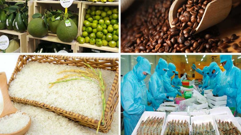 Tận dụng đối đa Hiệp định EVFTA, tăng cường xuất khẩu sang EU trong bối cảnh mới