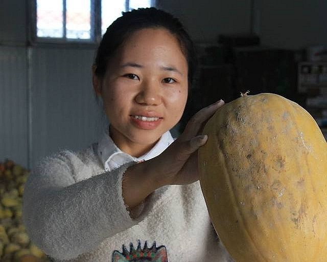 Một quả bí trưởng thành có hình bầu dục