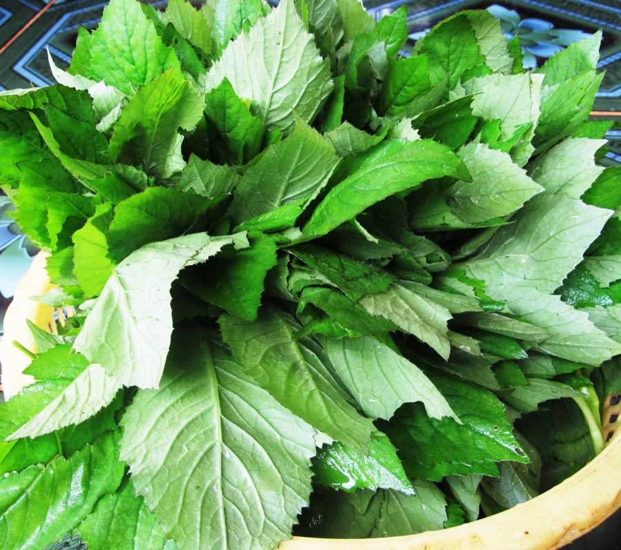 Cải có thể dùng ăn sống, chấm các món kh