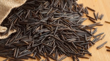 Gạo “đinh sắt” có giá trị dinh dưỡng cao gấp nhiều lần gạo thường