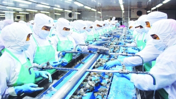 Xuất khẩu tôm sang Mỹ và EU sụt giảm mạnh
