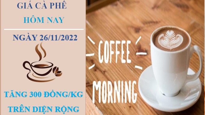 Giá cà phê hôm nay 26/11/2022: Tăng vượt mức 40.000 đồng/kg
