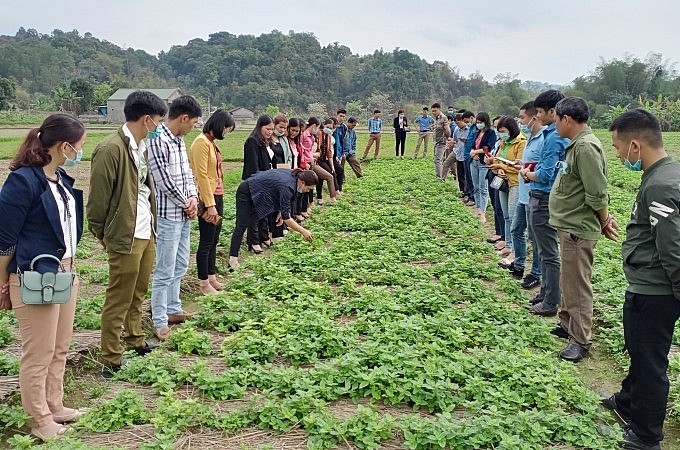 Tràng Định được coi là thủ phủ của cây thạch đen, một loại cây có giá trị kinh tế cao. 