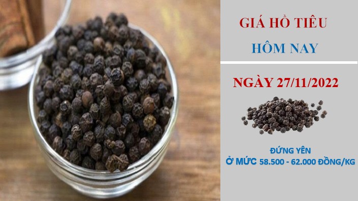 Giá hồ tiêu hôm nay 27/11/2022: Dự báo giá tiêu tháng 12/2022 khởi sắc hơn