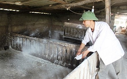 Tùy vào điều kiện, hộ chăn nuôi có thể sử dụng vật liệu phù hợp để làm sàn nuôi heo và chú ý đến công việc khử khuẩn chuồng heo.