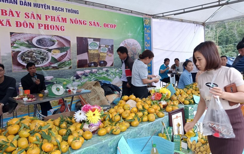 Ngày hội cam, quýt và giới thiệu sản phẩm OCOP gắn với các hoạt động văn hóa, thể thao, du lịch