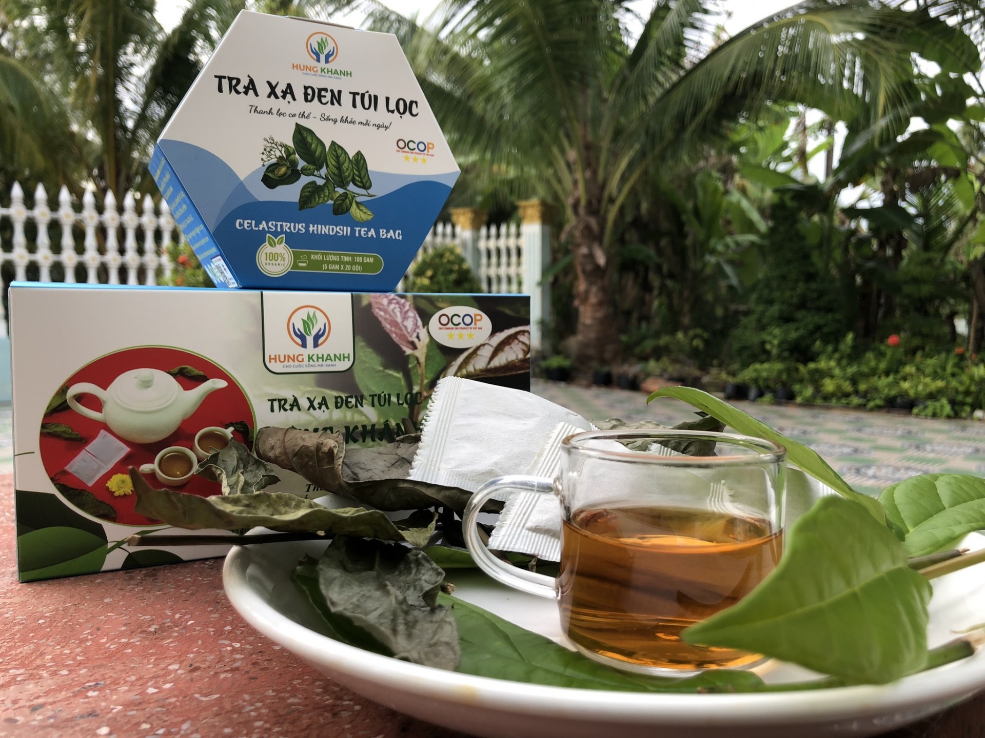 Với vị dịu ngọt cùng với mùi hương đặc trưng, trà xạ đen được nhiều người tiêu dùng ưa chuộng