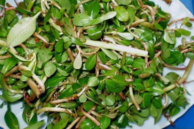 4 loại rau ở quê cho lợn ăn, lên thành phố lại thành đặc sản đắt đỏ