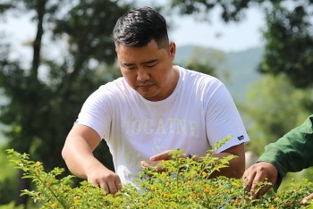 Trồng giống ớt đắt nhất thế giới, chàng trai Hà Tĩnh bỏ túi 300 triệu đồng mỗi năm