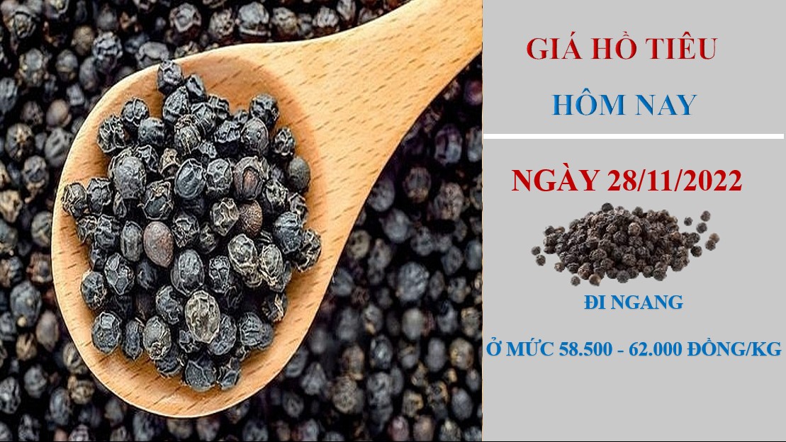 Giá hồ tiêu hôm nay 28/11/2022: Triển vọng khởi sắc trong tháng 12