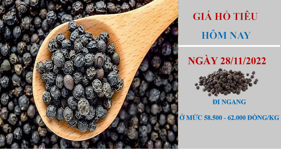 Giá hồ tiêu hôm nay 28/11/2022: Triển vọng khởi sắc trong tháng 12