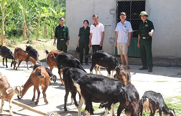 Mô hình nuôi dê của ông Nguyễn Văn Thuận ở thôn Vực Rồng (xã Sơn Tiến) cho thu nhập 100 triệu đồng/năm.