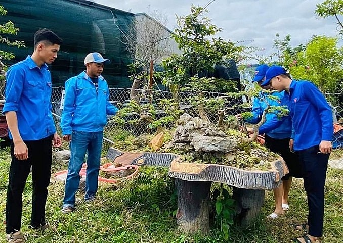 Mô hình kinh doanh cây cảnh bon sai của anh Lợi (người ngoài cùng bên trái) cho lợi nhuận 300 triệu đồng/năm.