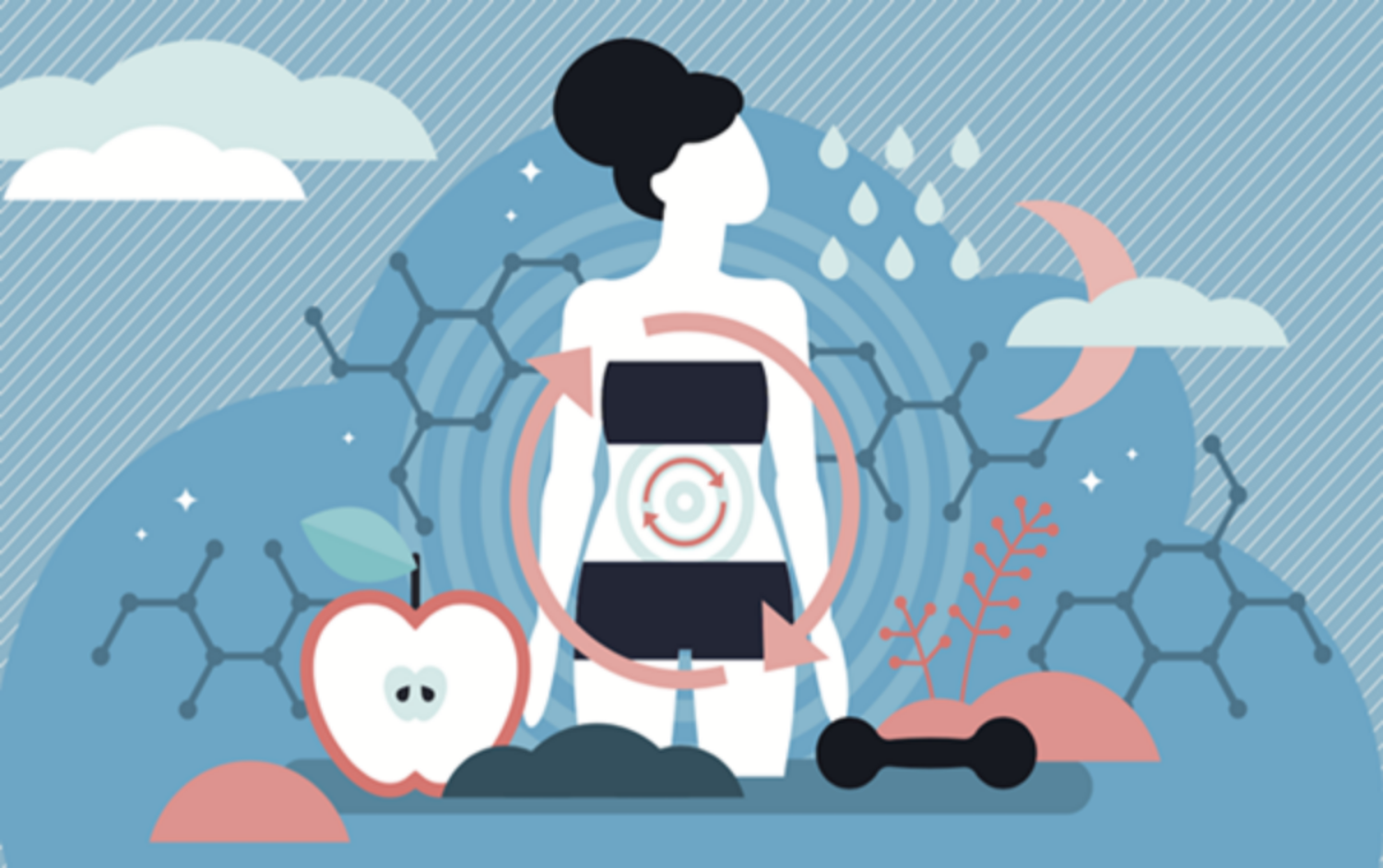 Thực hiện những điều này để có hệ trao đổi chất mạnh khỏe, nếu không bạn có thể mắc phải trao đổi chất kém từ khi còn trẻ