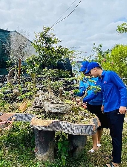nhiều bạn trẻ ở địa phương đến học tập kinh nghiệm khởi nghiệp từ mô hình kinh doanh cây cảnh bonsai của anh Lợi.