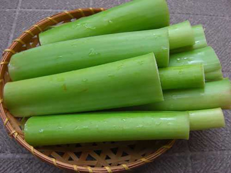 Phần thân của dọc mùng dùng chế biến các món ăn