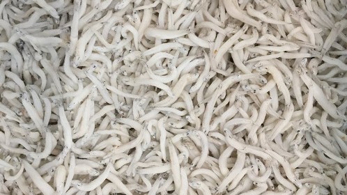 Loại cá bé tí ti, có tên độc lạ xưa không ai ăn, giờ thành đặc sản hiếm, muốn mua phải đặt trước