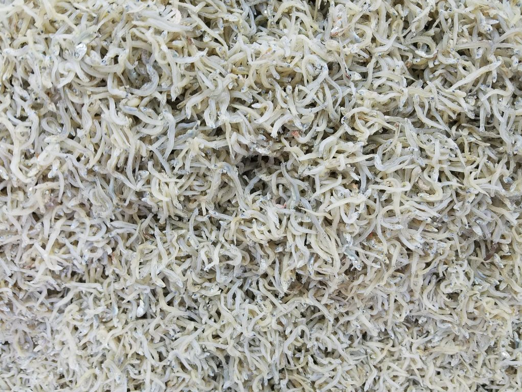 Loại cá bé tí ti, có tên độc lạ xưa không ai ăn, giờ thành đặc sản hiếm, muốn mua phải đặt trước