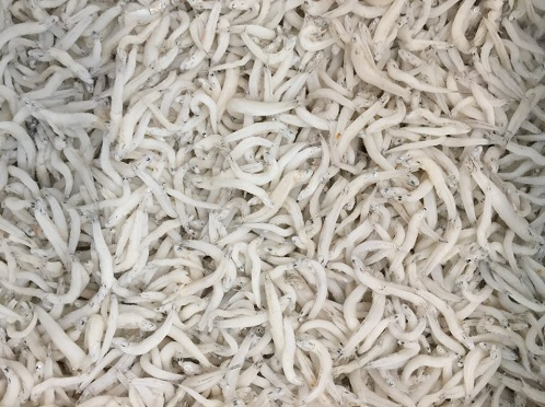 Loại cá bé tí ti, có tên độc lạ xưa không ai ăn, giờ thành đặc sản hiếm, muốn mua phải đặt trước