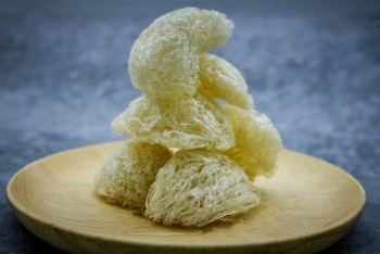 Điều gì khiến đặc sản tổ yến Kiên Giang có giá đắt đỏ lên tới 45 triệu đồng/kg