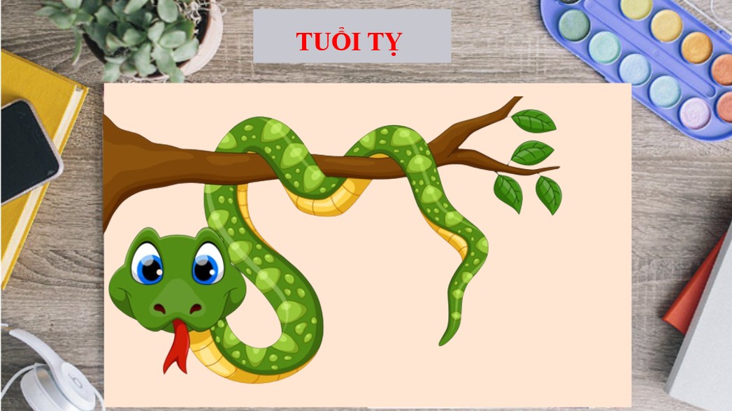 Tử vi tháng 11/2022 tuổi Tỵ âm lịch: Công việc bề bộn, quan hệ mâu thuẫn