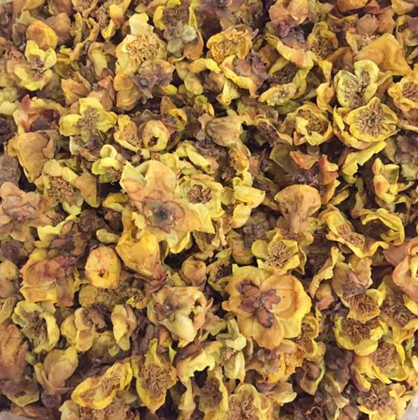 Loại cây khi xưa bị chặt phá để làm rẫy, nay thành đặc sản, hoa giá lên đến 20 triệu/kg